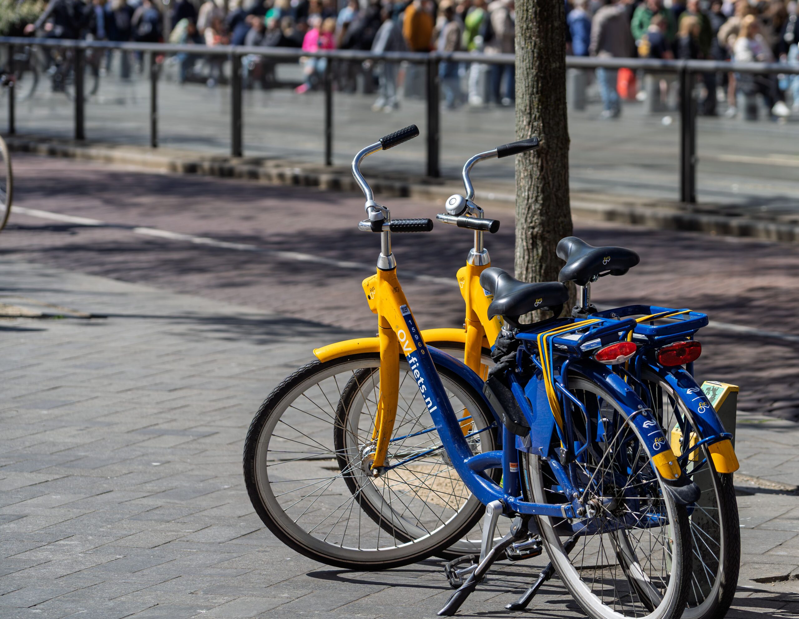 A tablet-based site for tracking bike rentals and their daily financials in Cape Town