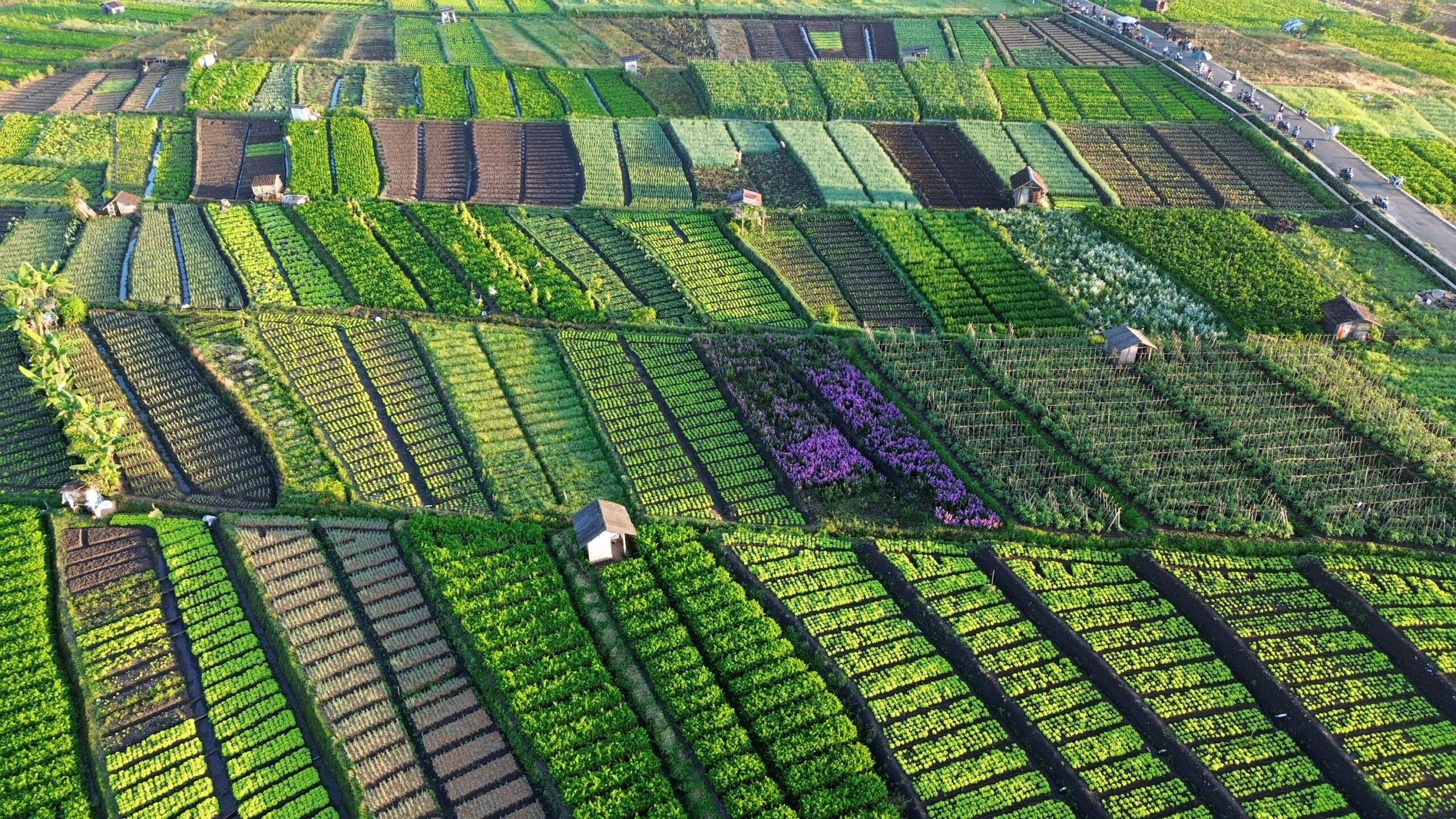 A crop mapping system using infrared and quadcopters